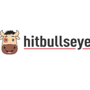 Hitbullseye Hitbullseye